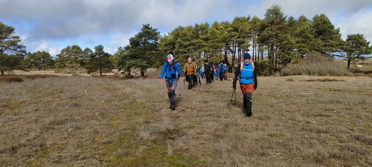 WhatsApp Image 2026-02-10 at 14.47.46 (4)